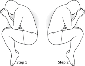 Fetus Back Presentations Examples. Step 1 (Right) Step 2 (Left)